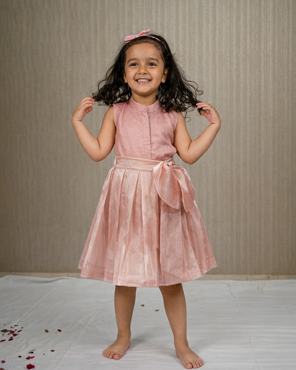 Eddie & Birdie Blush Organza Skirt & Linen Satin Shirt Set